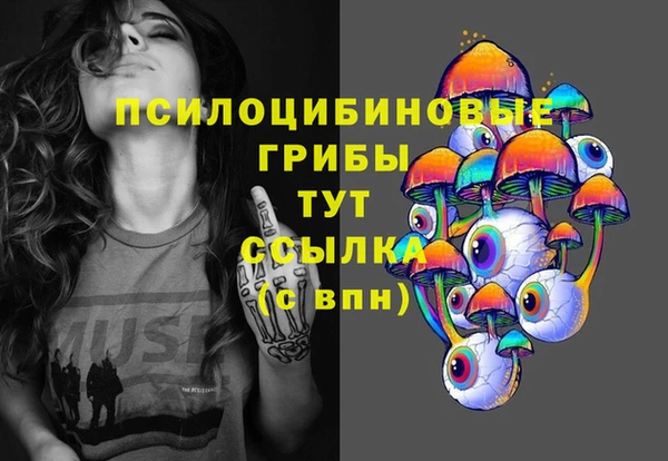 твердый Бутурлиновка