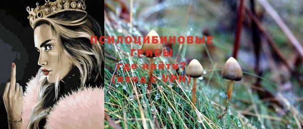 тгк Михайловск